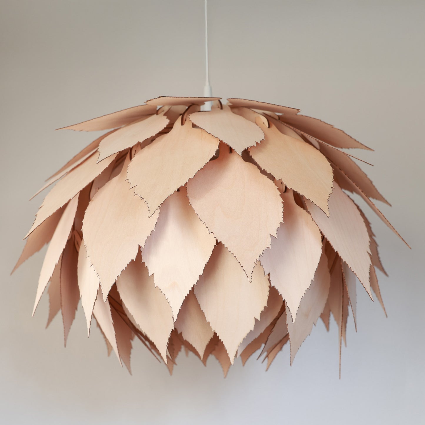 Betula pendula M